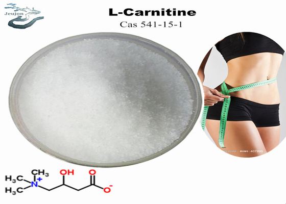 化粧品 原材料 R L 体重減少のためのカルニチン粉 CAS 541-15-1 胃脂肪燃焼粉