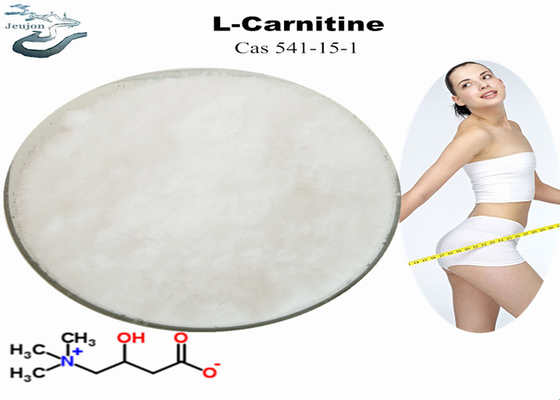 薬剤 原材料 減量 L-カルニチン粉 CAS 541-15-1