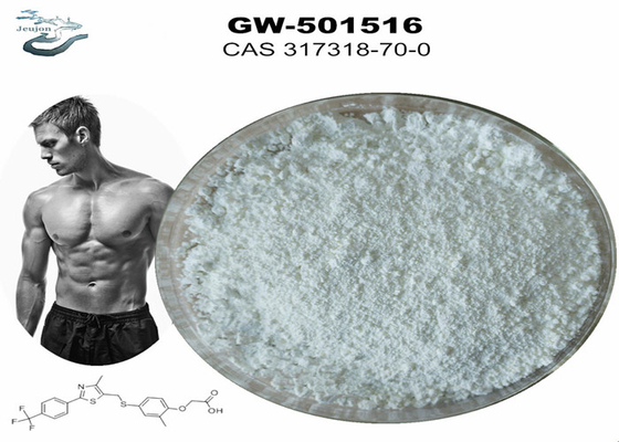 純脂肪減量サームス 粉末 GW501516 CAS 317318-70-0 ジム 粉末 GW501516