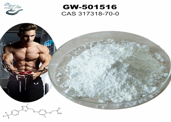 GW 501516 GSK-516 サルムズ ジム パウダー ボディビルディング CAS 317318-70-0